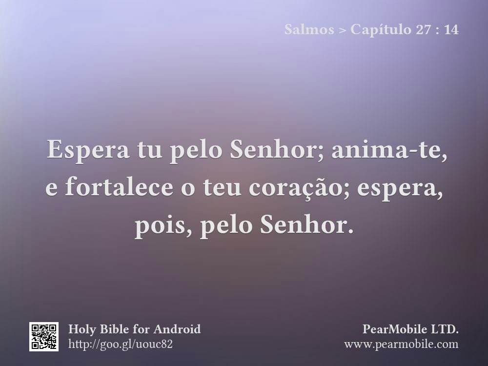 Salmos, Capítulo 27:14